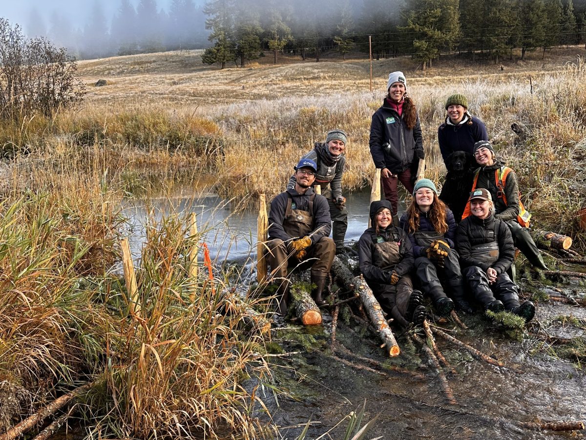 Beavers Return to Earl&nbsp;Ranch