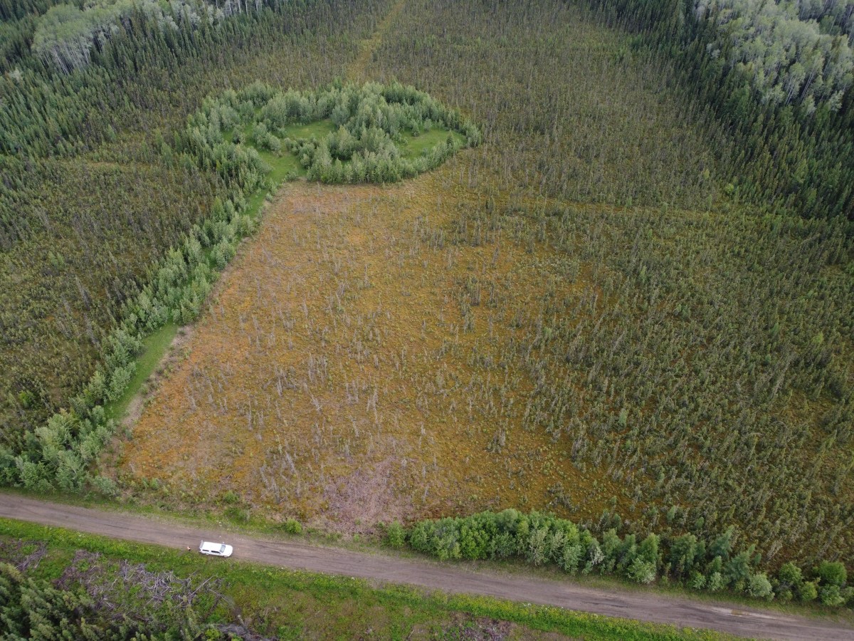 When Roads Meet Wetlands — Assessing Impacts Across Northern&nbsp;B.C