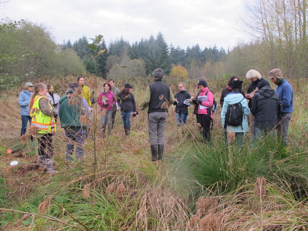 Students and community members refresh their mapping skills at our UBC Map Our Marshes&nbsp;Workshop