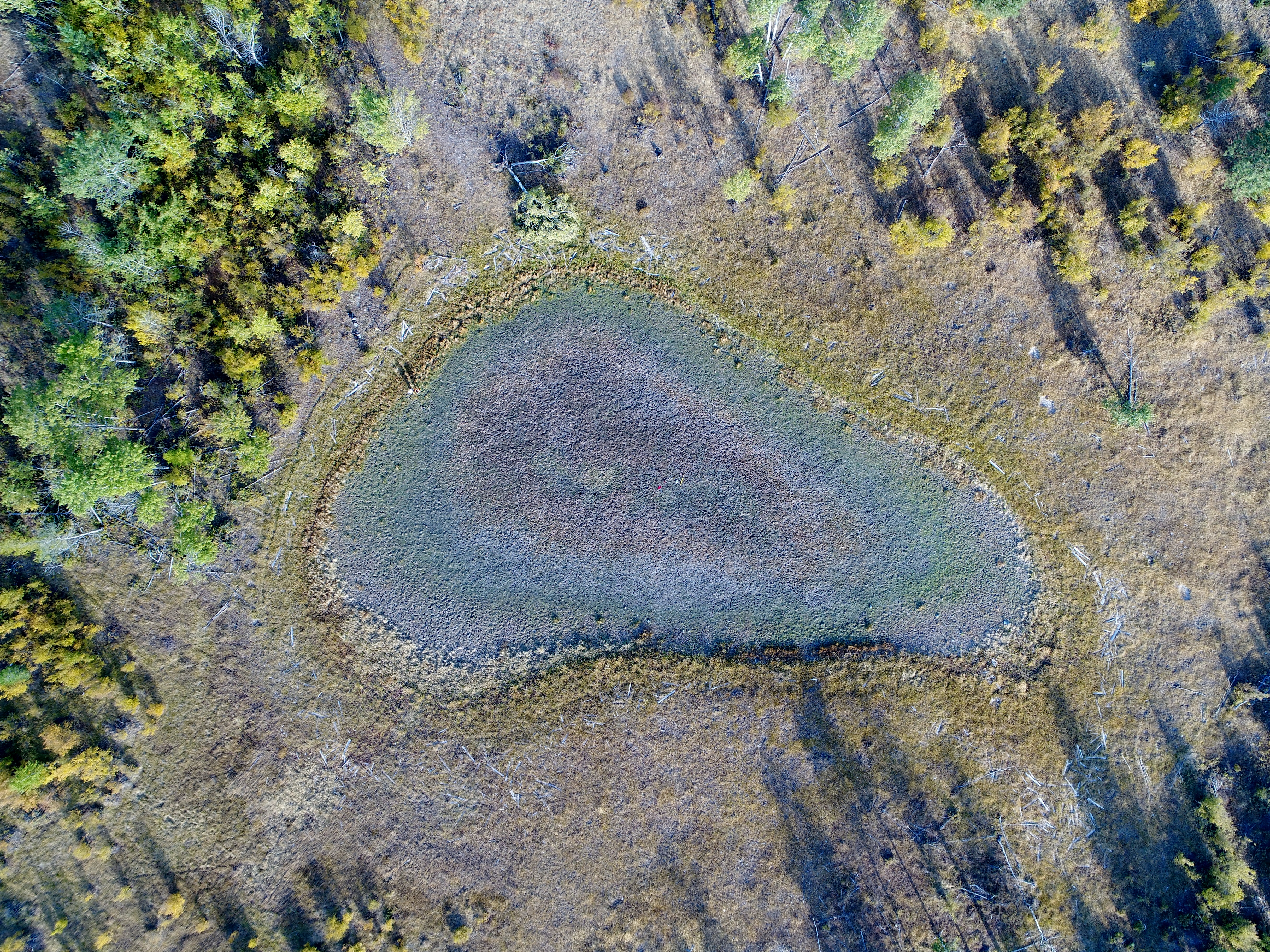 Fire & Water in the East Kootenays