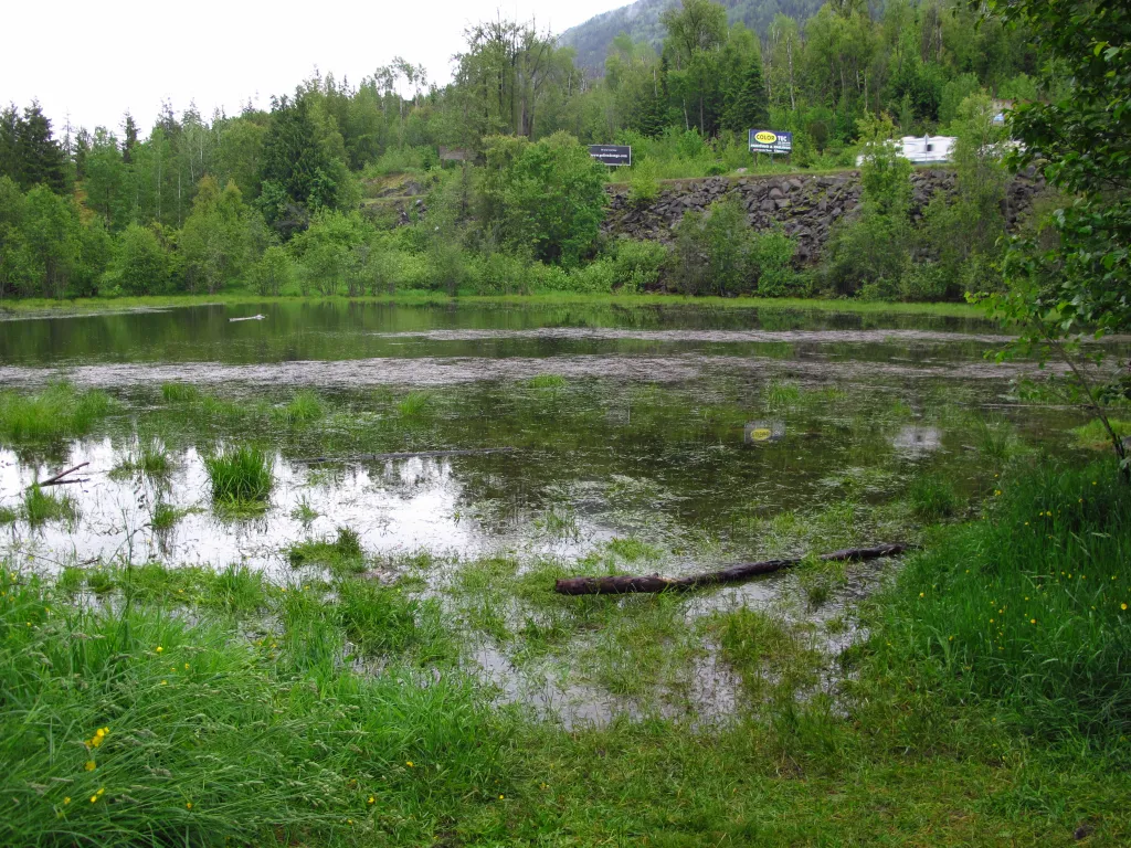 Boggin’ around in Nelson, B.C.