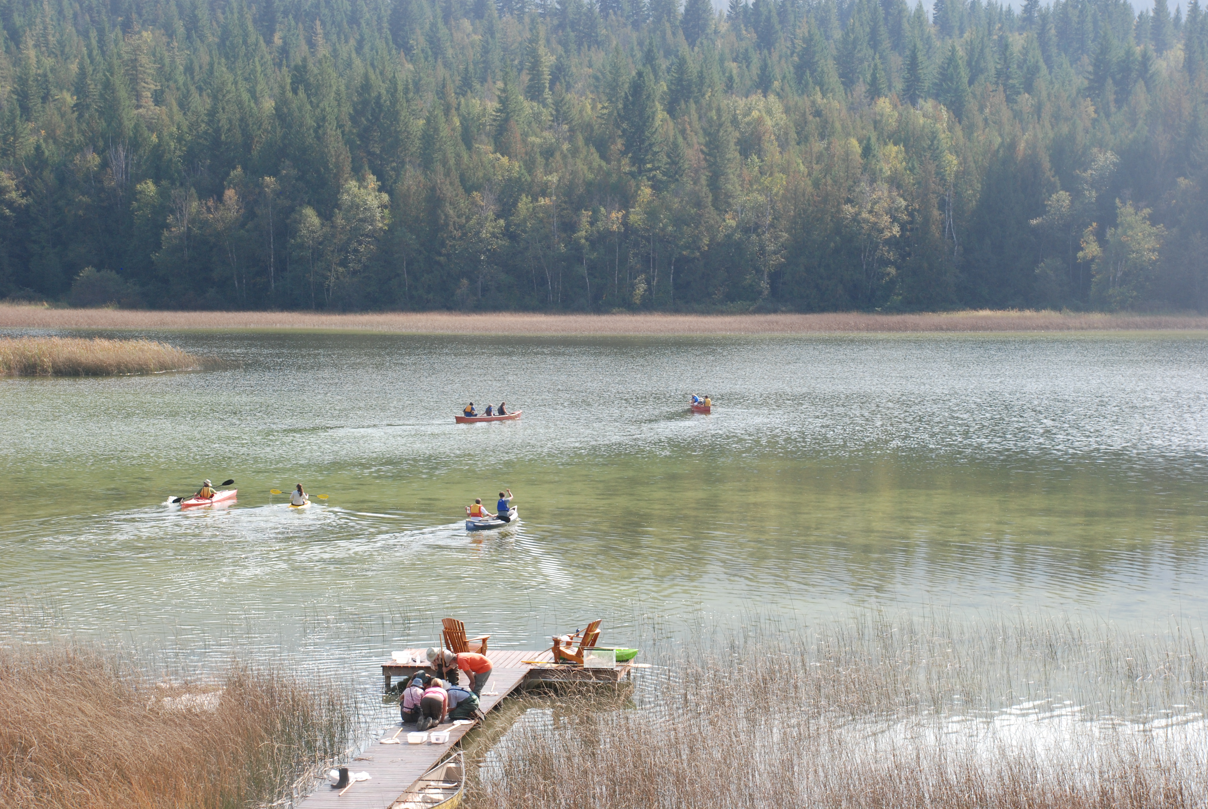Of Turtles and Toe-biters: Wetlandkeepers in White Lake