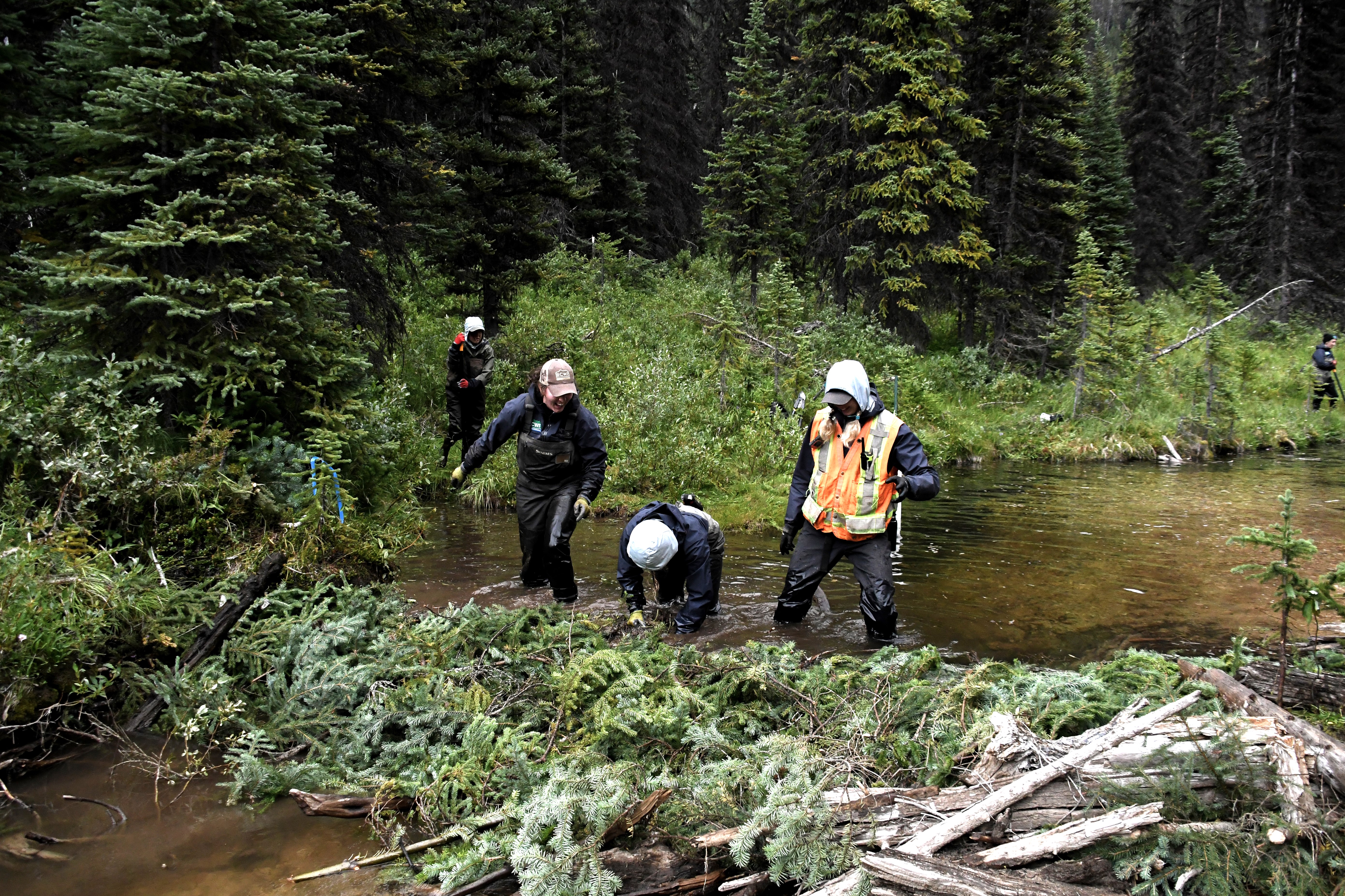 Restoring Nature on Its Own Terms 